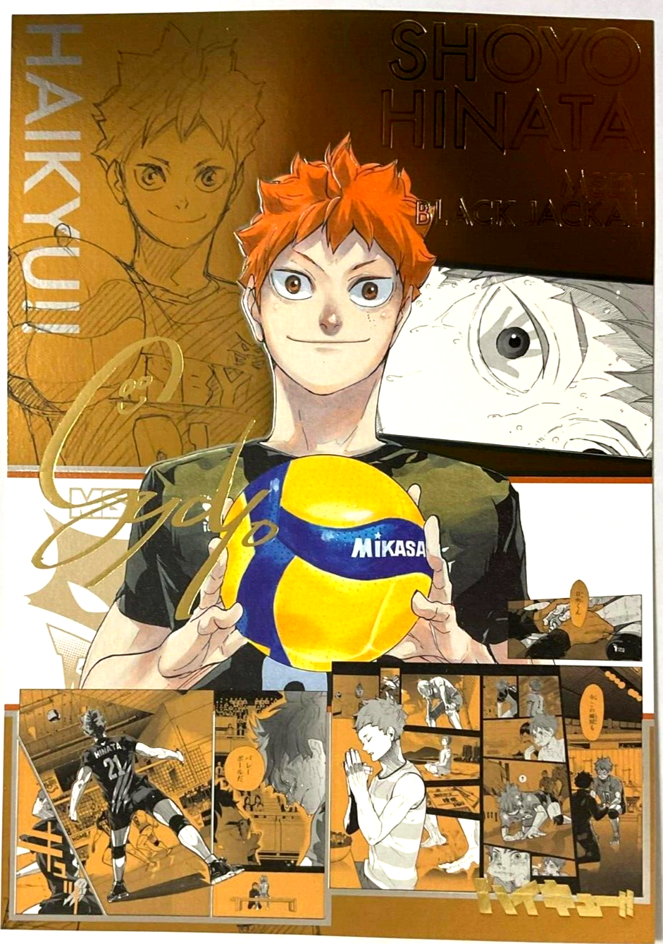 Haikyuu EX Hot Stamping Illustration Paper Card Shoyo Hinata