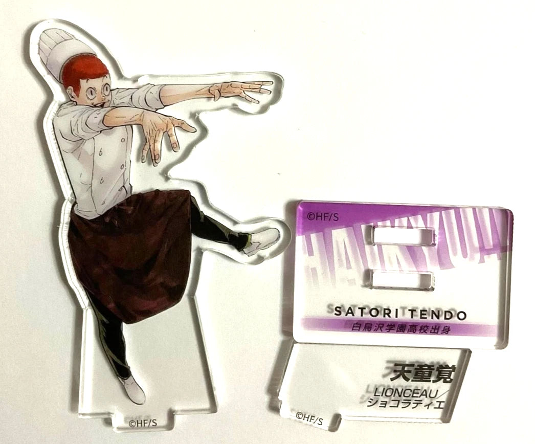 Haikyuu 10th Chronicle Acrylic Stand Satori Tendo