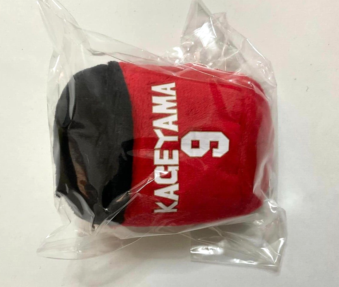 Haikyuu Noru Chara Mascot Plush Doll Tobio Kageyama Team Japan