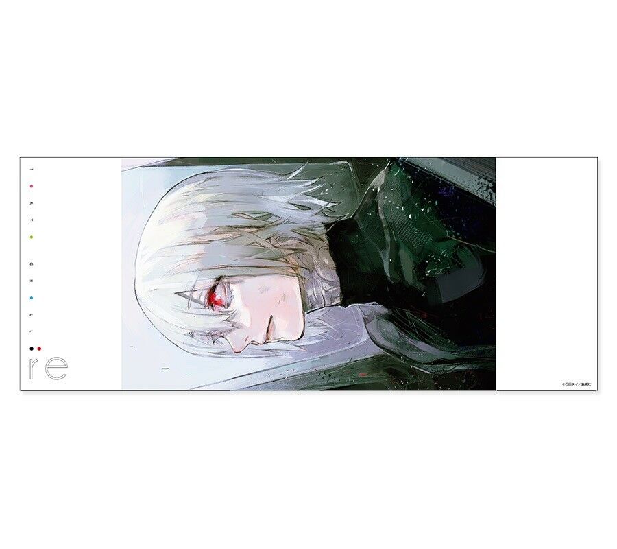 Tokyo Ghoul :re Book Cover Ken Kaneki Nimura Furuta