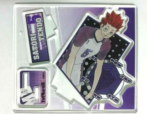 Haikyuu Acrylic Stand Satori Tendo Shiratorizawa