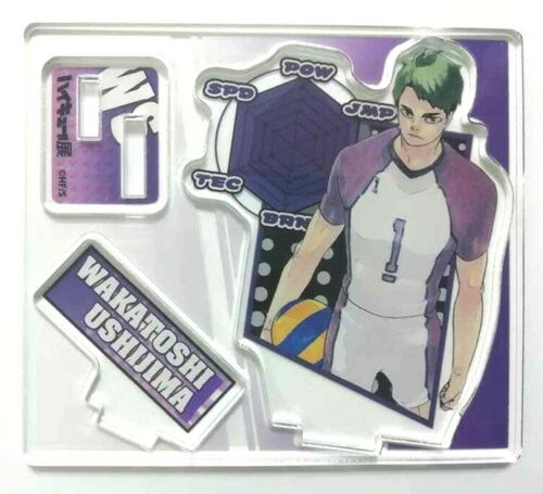 Haikyuu Acrylic Stand Collection Wakatoshi Ushijima