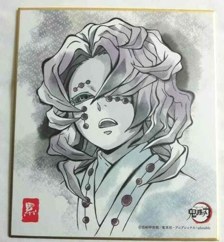 Kimetsu no Yaiba Duplicate Autograph Shikishi Rui