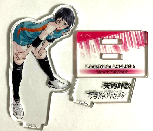 Haikyuu 10th Chronicle Acrylic Stand Kanoka Amanai