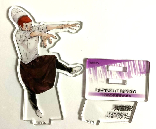 Haikyuu 10th Chronicle Acrylic Stand Satori Tendo
