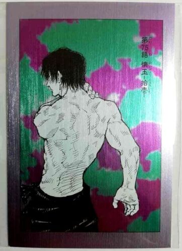 Jujutsu Kaisen Sorcery Fight Manga Cover Art Post Card 75 Toji Fushiguro