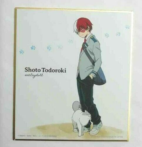 My Hero Academia Cat Autograph Shikishi Shoto Todoroki