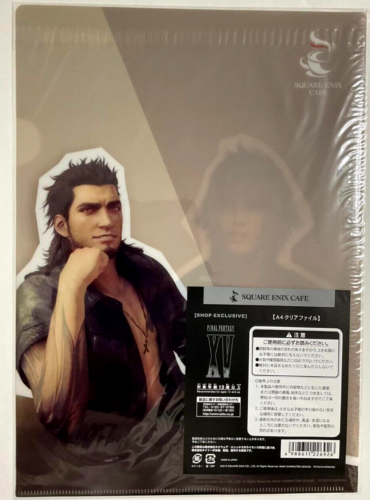 Final Fantasy XV Clear File Document Folder Noctis Gladiolus