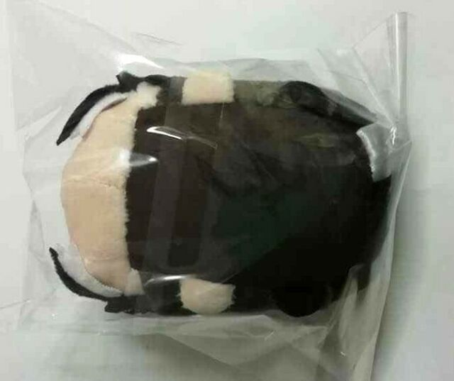 Bungo Stray Dogs Bonus Mochi Mochi Plush Doll Mascot vol 3 Ryunosuke Akutagawa